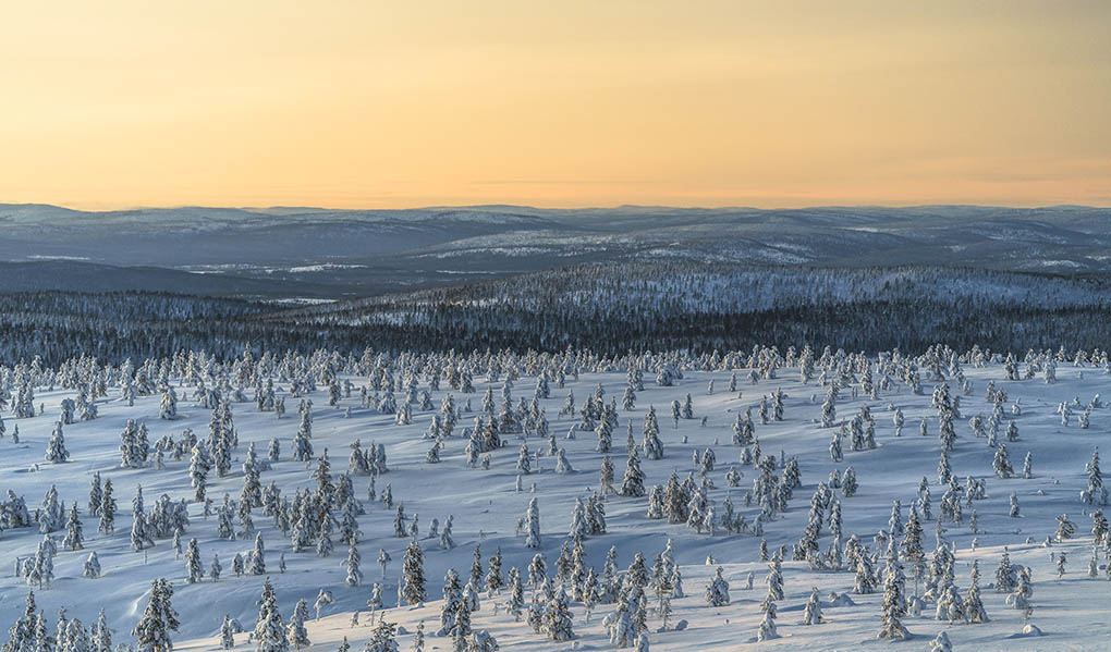 Inergian laskuilla muutoksia laskuttajan nimessä